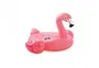 Intex Bouée gonflable Flamant rose 142 x 137 x 97 cm - Pour piscine et plage, avec poignées