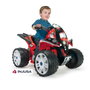 Injusa Quad batterie The Beast 12V