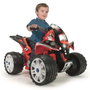 Injusa Quad batterie The Beast 12V