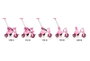 Molto Triciclo Urban Trike City 5 en 1 avec Bandeja et Palo - Tricycle Évolutif pour Enfant - 89 cm - Rose