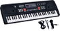 REIG - Orgue électronique 61 touches avec microphone - 16 types de sons, 6 démos, 10 rythmes, fonction enregistrement