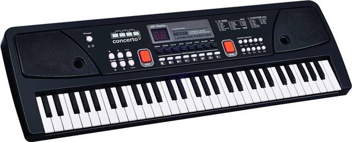REIG - Orgue électronique 61 touches avec microphone - 16 types de sons, 6 démos, 10 rythmes, fonction enregistrement REIG - Orgue électronique 61 touches avec microphone - 16 types de sons, 6 démos, 10 rythmes, fonction enregistrement