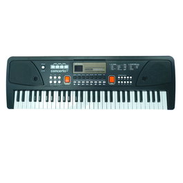 REIG - Orgue électronique 61 touches avec microphone - 16 types de sons, 6 démos, 10 rythmes, fonction enregistrement