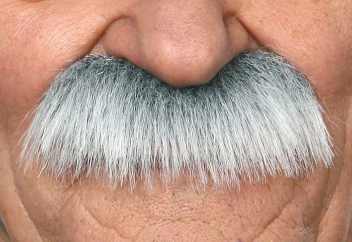My Other Me Bigote adulto canoso taille unique - Moustache adulte grise - Langues: espagnol, anglais, français, italien, portugais, allemand My Other Me Bigote adulto canoso taille unique - Moustache adulte grise - Langues: espagnol, anglais, français, italien, portugais, allemand