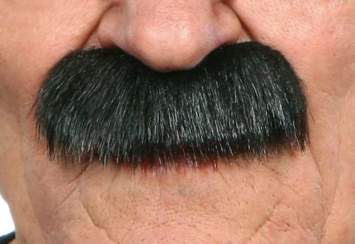 My Other Me Bigote One Size - Jeu de Société Multilingue (Espagnol, Anglais, Français, Italien, Portugais, Allemand) - Adulte - Multicolor My Other Me Bigote One Size - Jeu de Société Multilingue (Espagnol, Anglais, Français, Italien, Portugais, Allemand) - Adulte - Multicolor