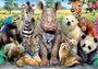 Educa Puzzle 300 Pièces Photo de Classe Animaux Sauvages - Pour Enfants 8 à 11 Ans