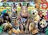 Educa Puzzle 300 Pièces Photo de Classe Animaux Sauvages - Pour Enfants 8 à 11 Ans