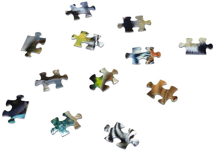 Educa Puzzle 300 Pièces Photo de Classe Animaux Sauvages - Pour Enfants 8 à 11 Ans