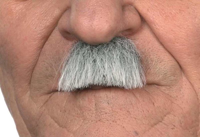 My Other Me - Moustache pour adulte taille unique - Déguisement - Multilingue (espagnol, anglais, français, italien, portugais, allemand) - Multicolor