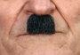 My Other Me - Moustache pour adulte taille unique - Déguisement - Multilingue (espagnol, anglais, français, italien, portugais, allemand) - Multicolor