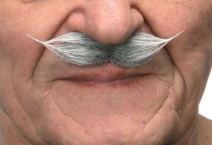 My Other Me Bigote One Size - Jeu de Société Multilingue (Espagnol, Anglais, Français, Italien, Portugais, Allemand) - Adulte - Multicolor