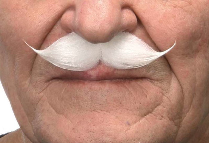My Other Me - Moustache blanche taille unique - Déguisement / Accessoire en Multicolor - Version multilingue (Espagnol, Français, Anglais)