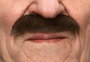 My Other Me - Bigote Castaño - Bigote Brun Postiche Taille Unique - Adulte - Multicolor - Langues: Espagnol, Anglais, Français, Italien, Portugais, Allemand