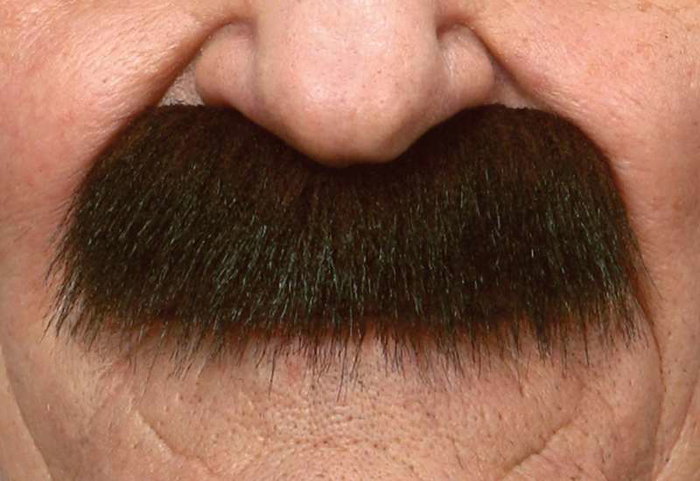 My Other Me Bigote One Size - Jeu de Société Multilingue (Espagnol, Anglais, Français, Italien, Portugais, Allemand) - Adulte - Multicolor My Other Me Bigote One Size - Jeu de Société Multilingue (Espagnol, Anglais, Français, Italien, Portugais, Allemand) - Adulte - Multicolor