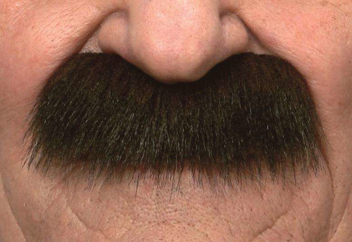 My Other Me Bigote One Size - Jeu de Société Multilingue (Espagnol, Anglais, Français, Italien, Portugais, Allemand) - Adulte - Multicolor My Other Me Bigote One Size - Jeu de Société Multilingue (Espagnol, Anglais, Français, Italien, Portugais, Allemand) - Adulte - Multicolor