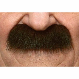 Moustache My Other Me Marron