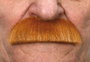 My Other Me Bigote One Size - Jeu de Société Multilingue (Espagnol, Anglais, Français, Italien, Portugais, Allemand) - Adulte - Multicolor