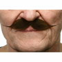 Moustache My Other Me Marron