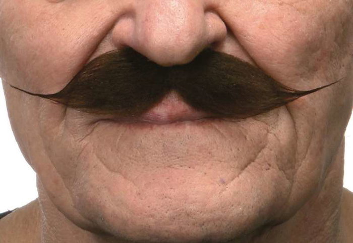My Other Me - Moustache pour adulte taille unique - Déguisement - Multilingue (espagnol, anglais, français, italien, portugais, allemand) - Multicolor
