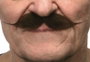 My Other Me - Moustache pour adulte taille unique - Déguisement - Multilingue (espagnol, anglais, français, italien, portugais, allemand) - Multicolor
