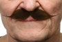 My Other Me - Moustache pour adulte taille unique - Déguisement - Multilingue (espagnol, anglais, français, italien, portugais, allemand) - Multicolor