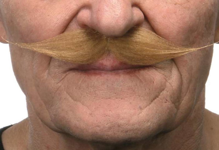 My Other Me - Bigote rubio adulte - Moustache blonde pour adulte taille unique - Faux accessoire de déguisement - Multicolore