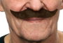 My Other Me Moustache postiche costume accessoire déguisement couleur châtain taille unique multilingue (espagnol, anglais, français, italien, portugais, allemand)
