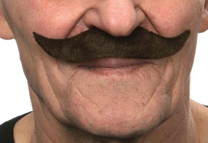 My Other Me Moustache postiche costume accessoire déguisement couleur châtain taille unique multilingue (espagnol, anglais, français, italien, portugais, allemand)