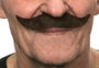 My Other Me Moustache postiche costume accessoire déguisement couleur châtain taille unique multilingue (espagnol, anglais, français, italien, portugais, allemand)