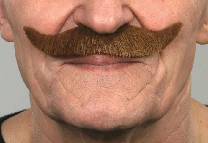 My Other Me - Bigote Castaño - Bigote Brun Postiche Taille Unique - Adulte - Multicolor - Langues: Espagnol, Anglais, Français, Italien, Portugais, Allemand