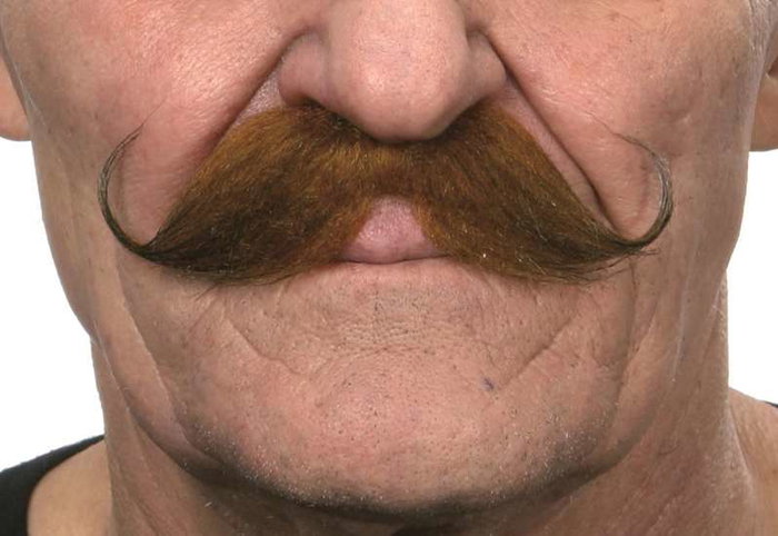 My Other Me - Moustache pour adulte taille unique - Déguisement - Multilingue (espagnol, anglais, français, italien, portugais, allemand) - Multicolor My Other Me - Moustache pour adulte taille unique - Déguisement - Multilingue (espagnol, anglais, français, italien, portugais, allemand) - Multicolor