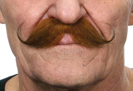 My Other Me - Moustache pour adulte taille unique - Déguisement - Multilingue (espagnol, anglais, français, italien, portugais, allemand) - Multicolor