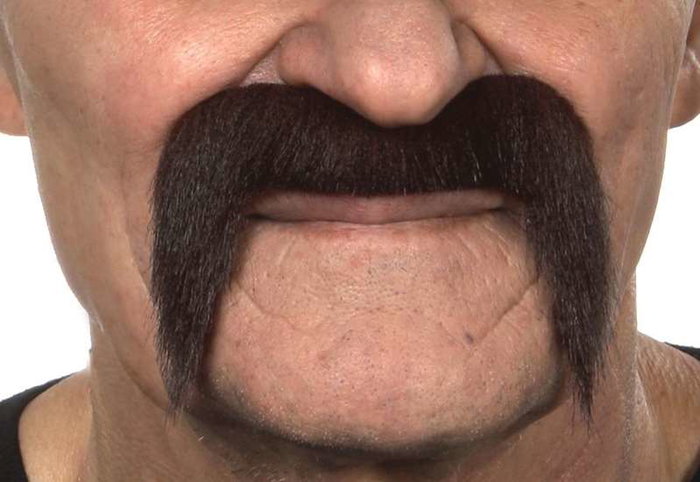 My Other Me - Moustache pour adulte taille unique - Déguisement - Multilingue (espagnol, anglais, français, italien, portugais, allemand) - Multicolor