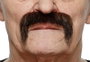 My Other Me - Moustache pour adulte taille unique - Déguisement - Multilingue (espagnol, anglais, français, italien, portugais, allemand) - Multicolor