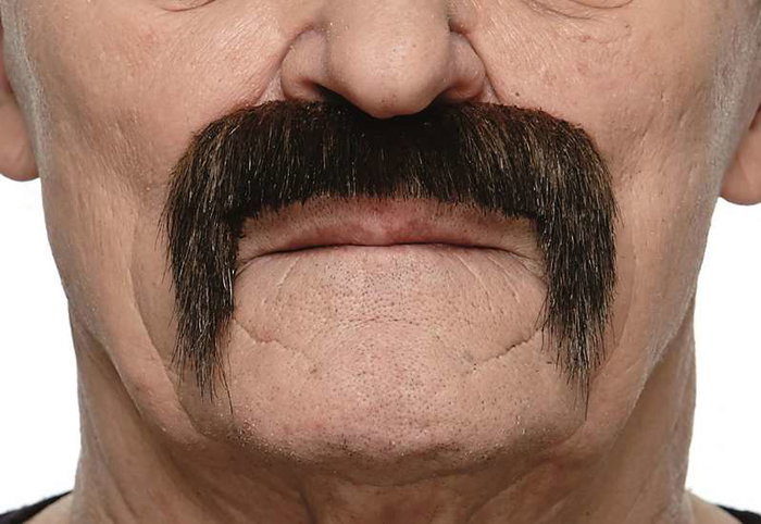 My Other Me - Moustache pour adulte taille unique - Déguisement - Multilingue (espagnol, anglais, français, italien, portugais, allemand) - Multicolor