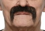 My Other Me - Moustache pour adulte taille unique - Déguisement - Multilingue (espagnol, anglais, français, italien, portugais, allemand) - Multicolor