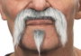 My Other Me Bigote y perilla one size déguisement de moustache et barbiche pour adulte, unisexe