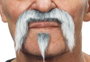 My Other Me Bigote y perilla one size déguisement de moustache et barbiche pour adulte, unisexe