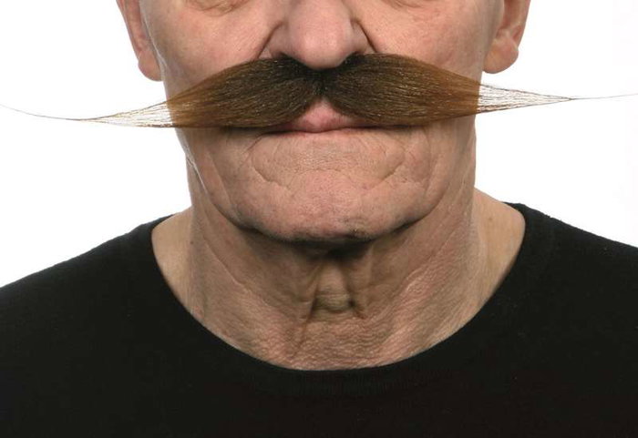 My Other Me - Moustache pour adulte taille unique - Déguisement - Multilingue (espagnol, anglais, français, italien, portugais, allemand) - Multicolor My Other Me - Moustache pour adulte taille unique - Déguisement - Multilingue (espagnol, anglais, français, italien, portugais, allemand) - Multicolor
