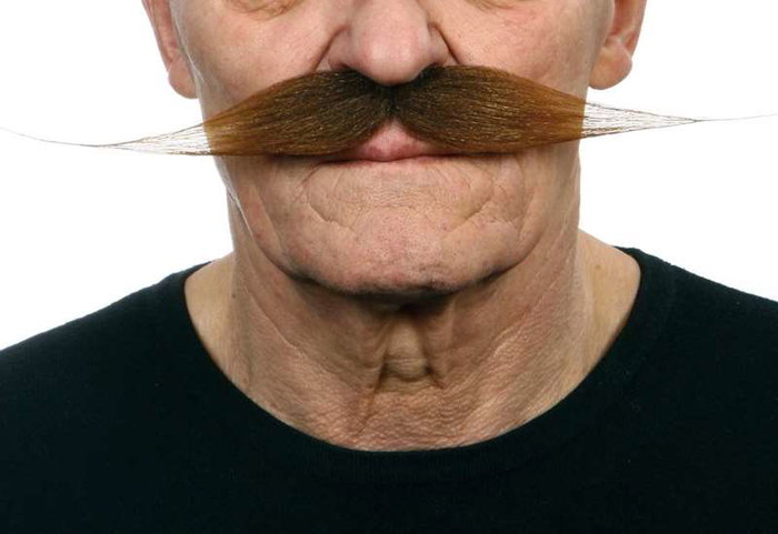 My Other Me - Moustache pour adulte taille unique - Déguisement - Multilingue (espagnol, anglais, français, italien, portugais, allemand) - Multicolor My Other Me - Moustache pour adulte taille unique - Déguisement - Multilingue (espagnol, anglais, français, italien, portugais, allemand) - Multicolor