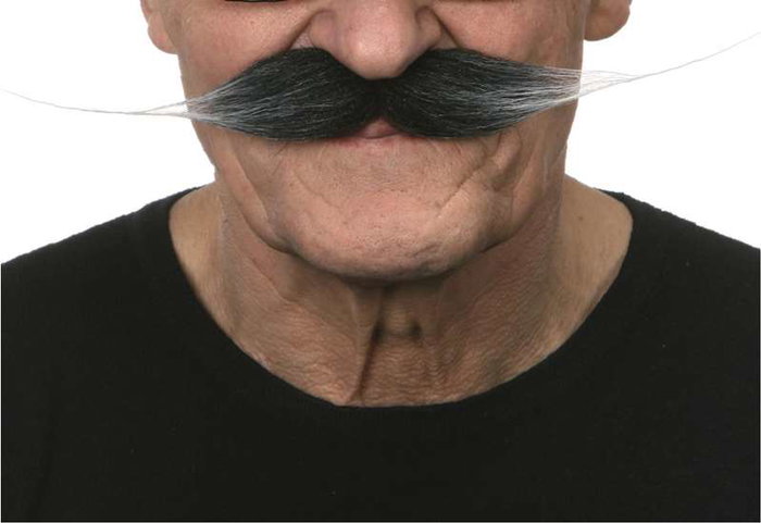 My Other Me Bigote One Size - Jeu de Société Multilingue (Espagnol, Anglais, Français, Italien, Portugais, Allemand) - Adulte - Multicolor