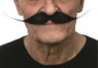 My Other Me - Moustache pour adulte taille unique - Déguisement - Multilingue (espagnol, anglais, français, italien, portugais, allemand) - Multicolor