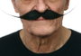 My Other Me - Moustache pour adulte taille unique - Déguisement - Multilingue (espagnol, anglais, français, italien, portugais, allemand) - Multicolor