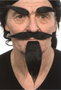 My Other Me - Kit déguisement moustache, barbe postiche et sourcils pour adulte - Brun - Taille unique