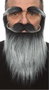 My Other Me - Accessoire de déguisement - Fausse barbe, moustache et sourcils pour adulte - Taille unique
