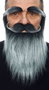 My Other Me - Accessoire de déguisement - Fausse barbe, moustache et sourcils pour adulte - Taille unique