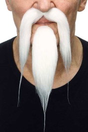 My Other Me Fausse barbe et bouc