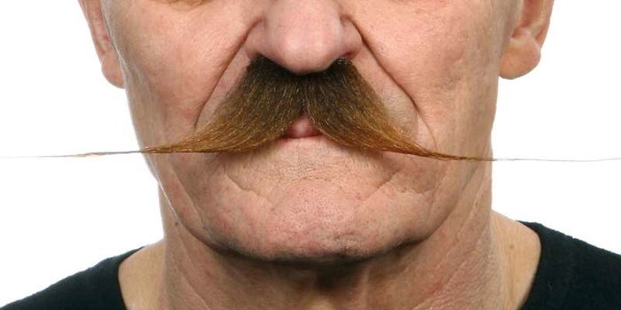 My Other Me Bigote One Size - Jeu de Société Multilingue (Espagnol, Anglais, Français, Italien, Portugais, Allemand) - Adulte - Multicolor My Other Me Bigote One Size - Jeu de Société Multilingue (Espagnol, Anglais, Français, Italien, Portugais, Allemand) - Adulte - Multicolor