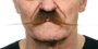My Other Me Bigote One Size - Jeu de Société Multilingue (Espagnol, Anglais, Français, Italien, Portugais, Allemand) - Adulte - Multicolor