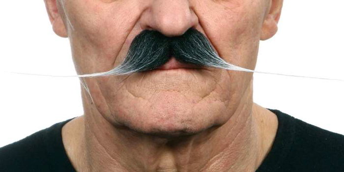 My Other Me - Bigote talla única - Moustache déguisement taille unique pour adulte multicolore My Other Me - Bigote talla única - Moustache déguisement taille unique pour adulte multicolore